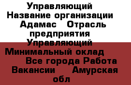 Управляющий › Название организации ­ Адамас › Отрасль предприятия ­ Управляющий › Минимальный оклад ­ 40 000 - Все города Работа » Вакансии   . Амурская обл.